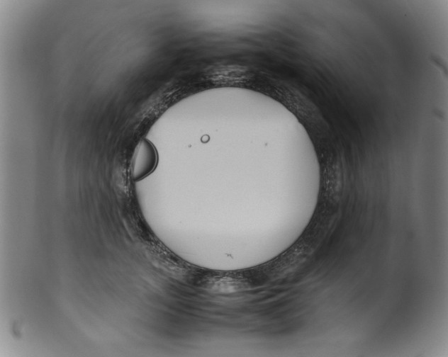 X0000100380755200806271334