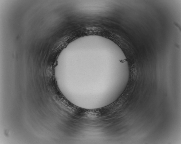 X0000100380756200806271334