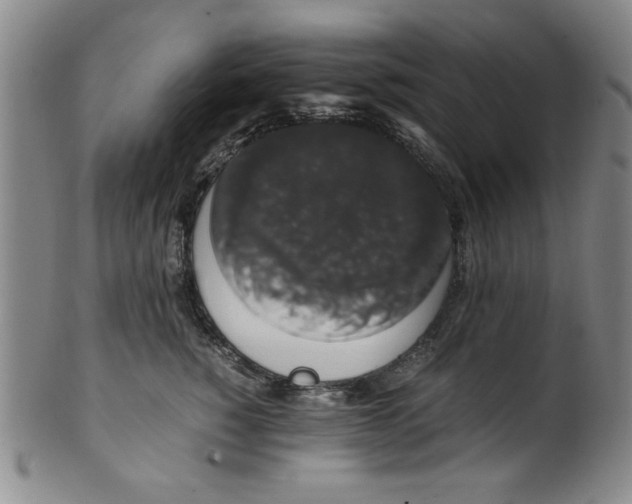 X0000100380760200806271334