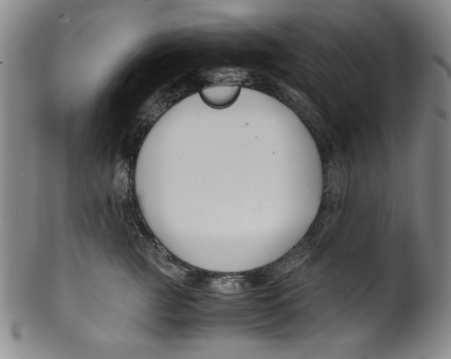 X0000100380761200806271334