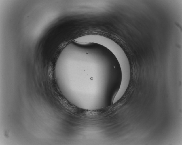 X0000100380762200806271334