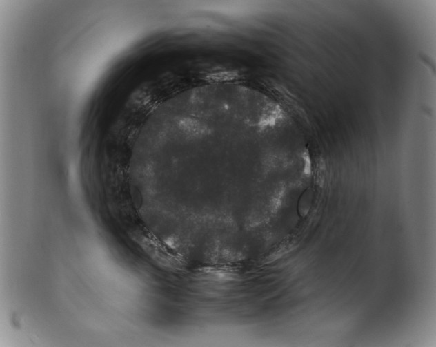 X0000100380763200806271334