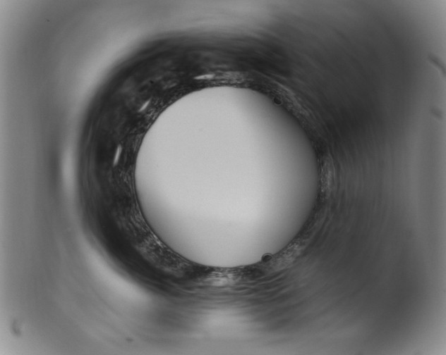 X0000100380764200806271334