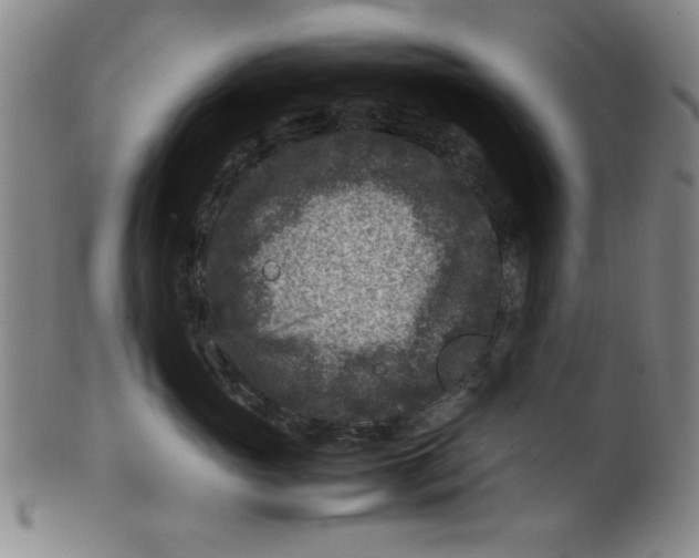 X0000100380765200806271334