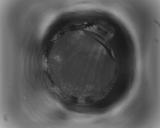 X0000100380766200806271334
