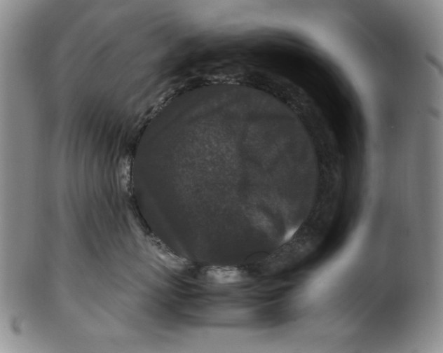 X0000100380767200806271334