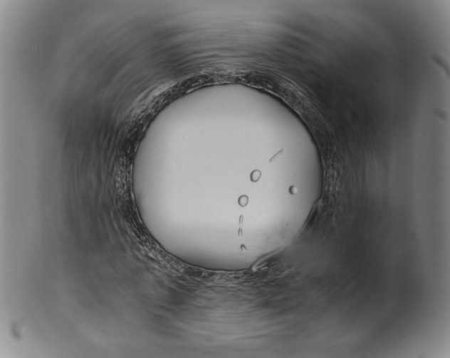 X0000100380773200806271333