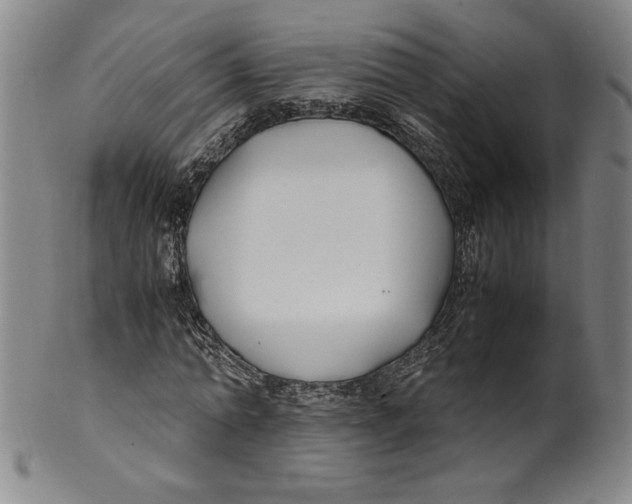 X0000100380774200806271333