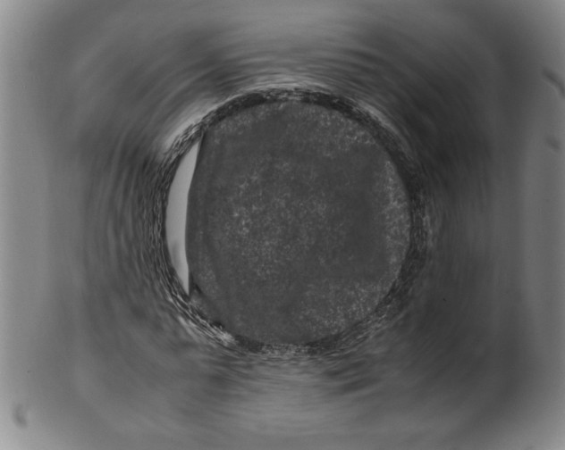 X0000100380775200806271333