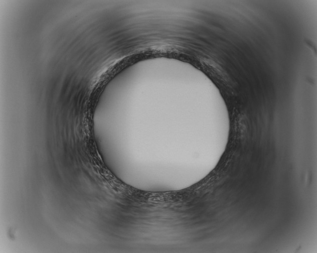 X0000100380776200806271333