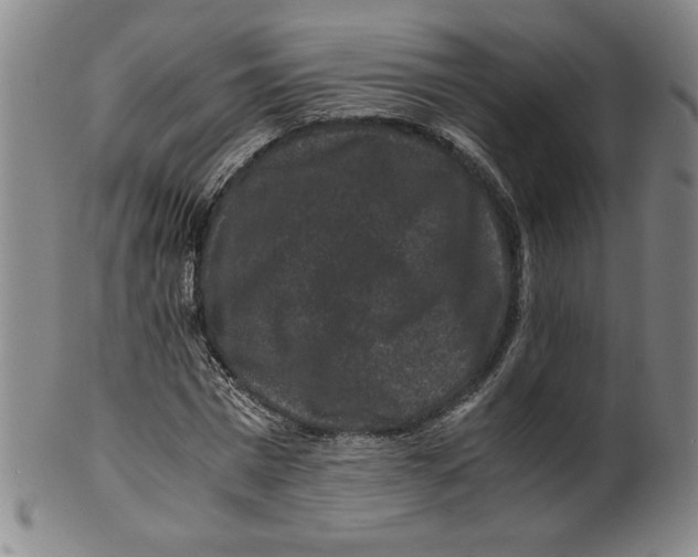 X0000100380777200806271333