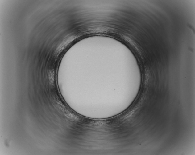 X0000100380778200806271333