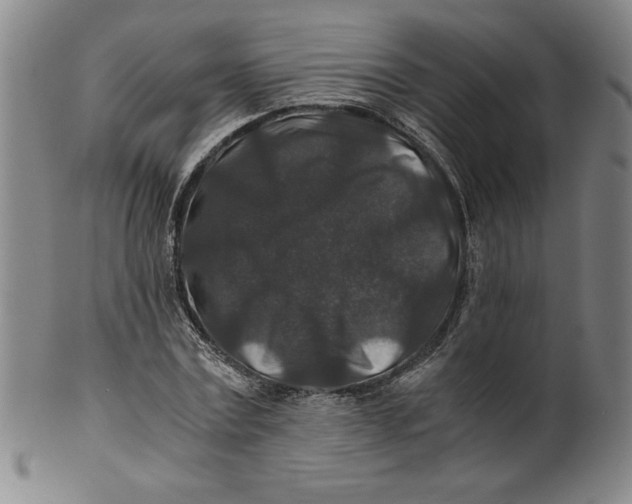 X0000100380779200806271333