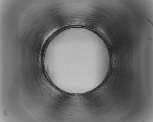 X0000100380780200806271333