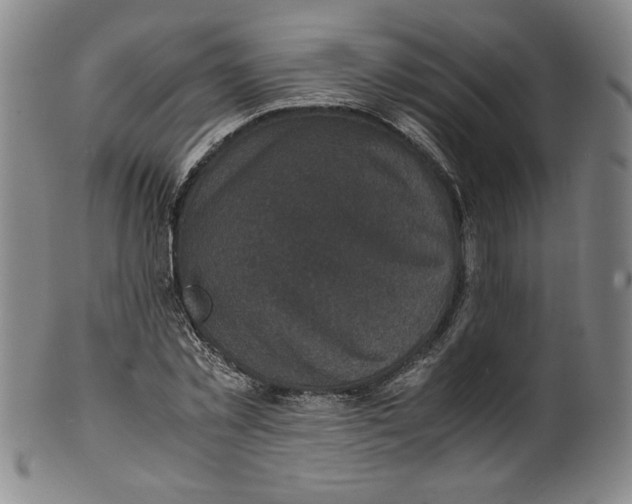 X0000100380781200806271333