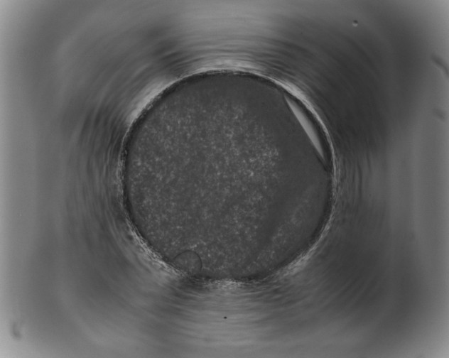 X0000100380783200806271333