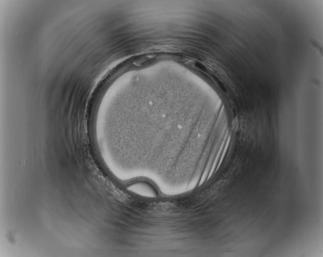 X0000100380784200806271333