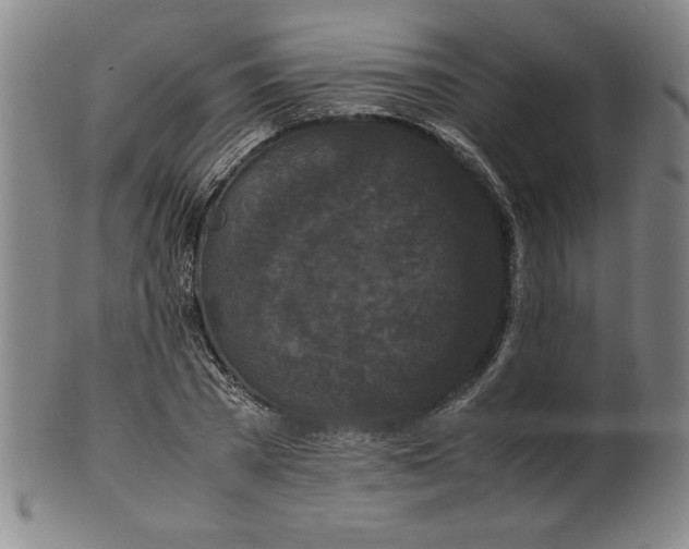 X0000100380785200806271333