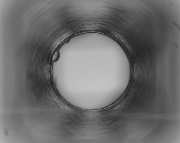 X0000100380786200806271333