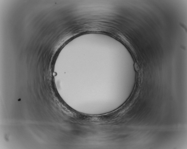 X0000100380787200806271333