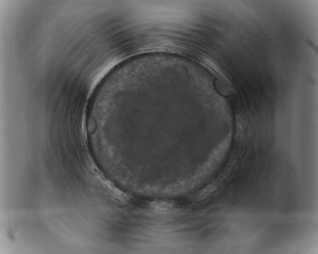 X0000100380788200806271333