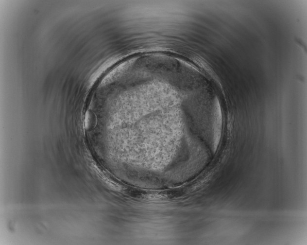 X0000100380789200806271333
