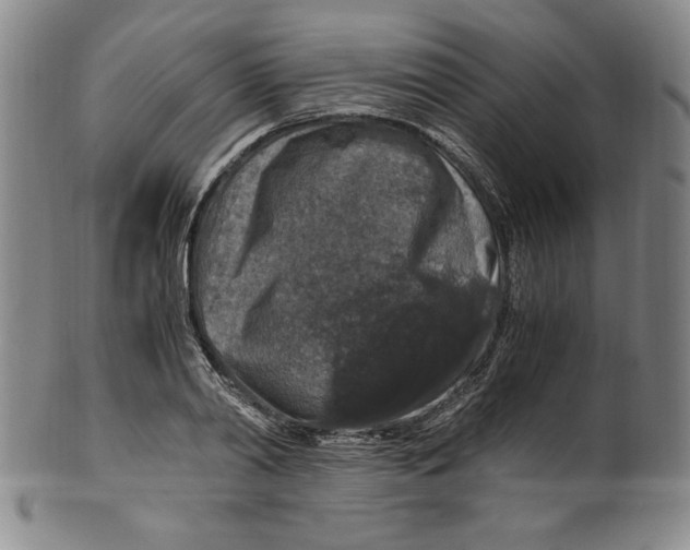 X0000100380790200806271333