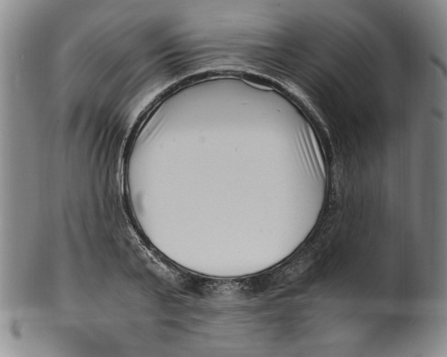 X0000100380791200806271333