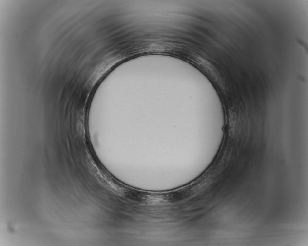 X0000100380794200806271333