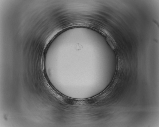 X0000100380796200806271333