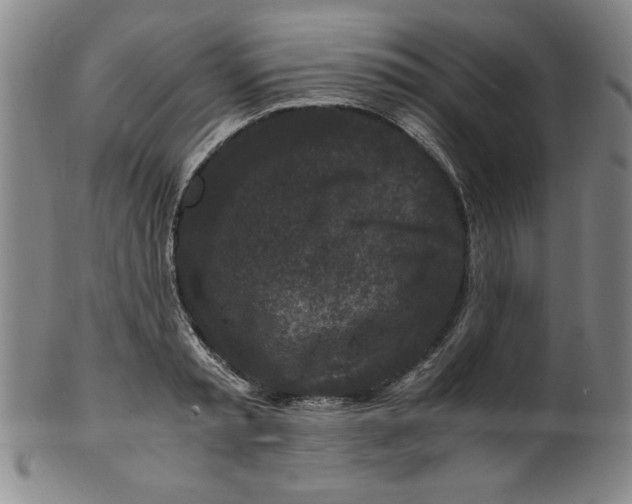 X0000100380797200806271333