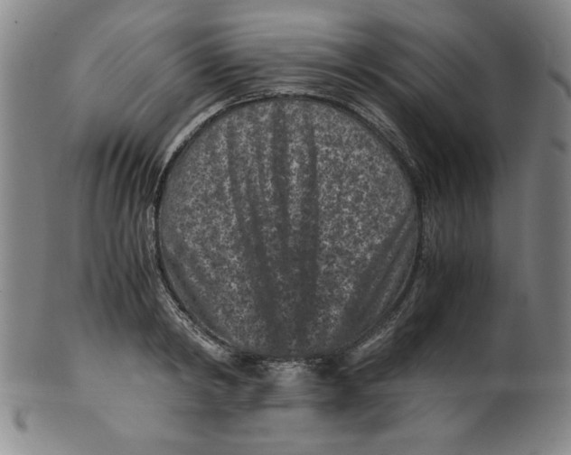 X0000100380798200806271333