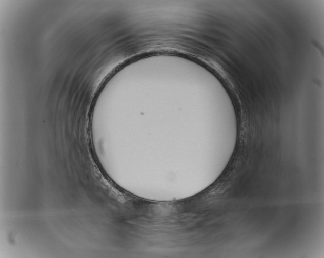 X0000100380799200806271333