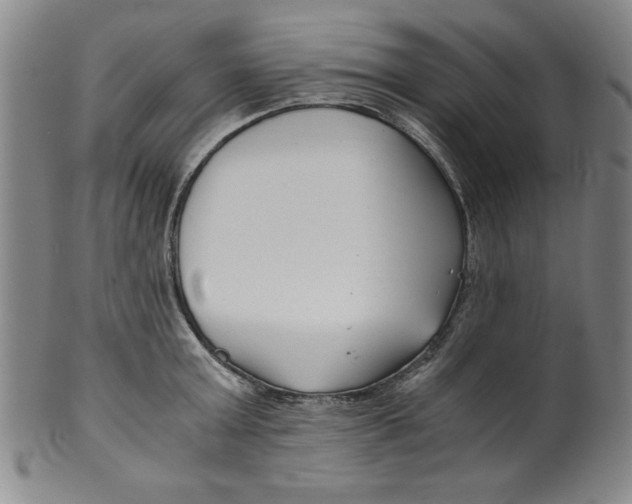 X0000100380803200806271333