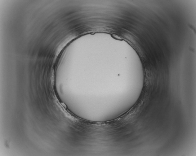 X0000100380804200806271333
