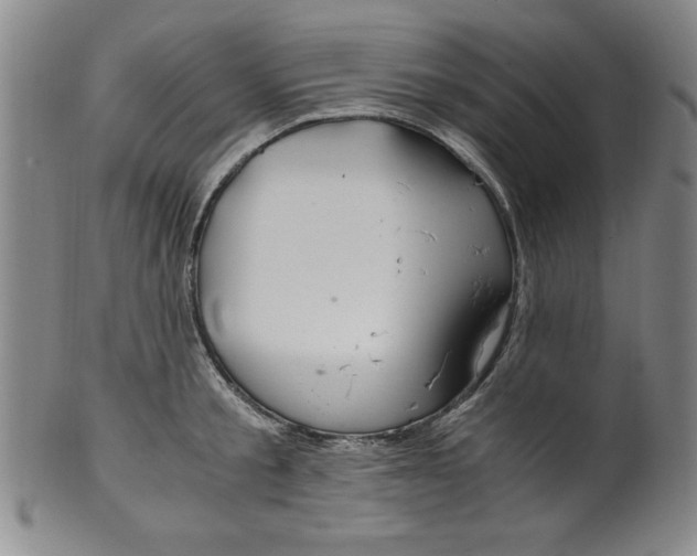 X0000100380805200806271333
