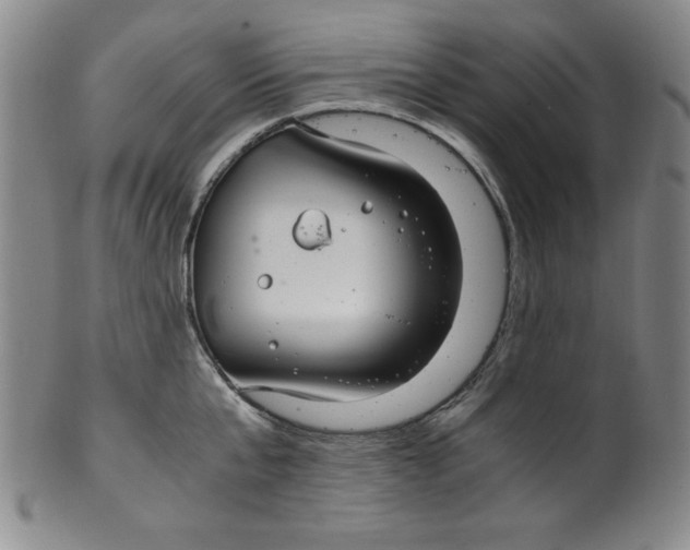 X0000100380807200806271333
