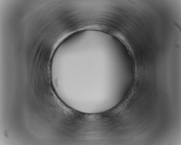 X0000100380808200806271333