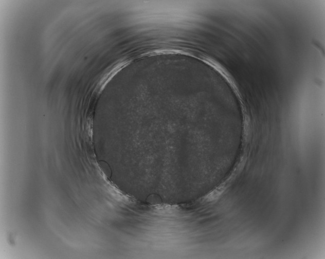 X0000100380809200806271333