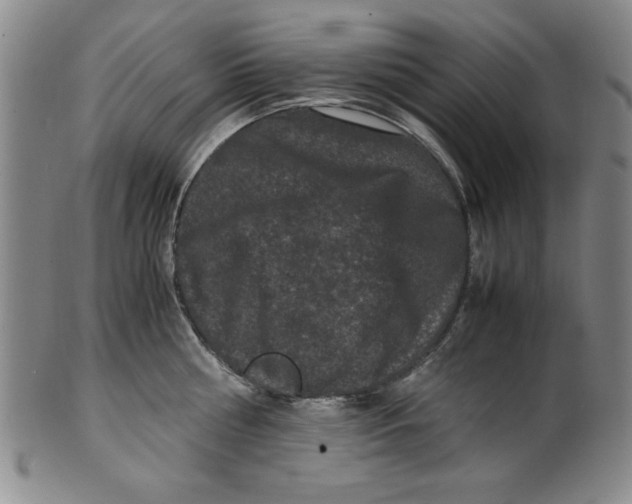X0000100380810200806271333