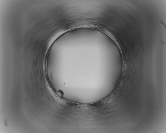 X0000100380811200806271332