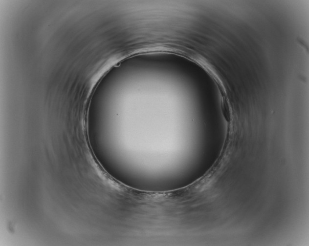X0000100380813200806271332