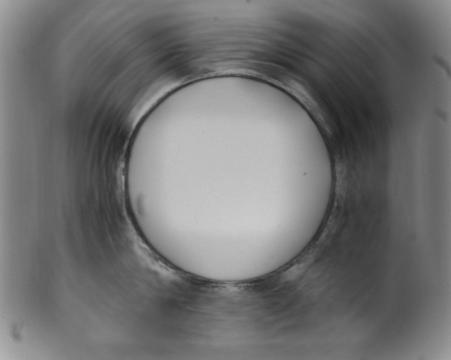 X0000100380814200806271332