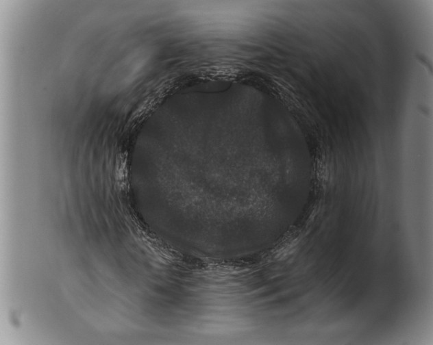 X0000100380818200806271332