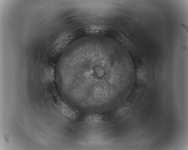 X0000100380820200806271332