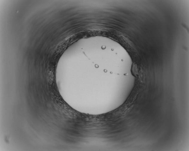 X0000100380821200806271332