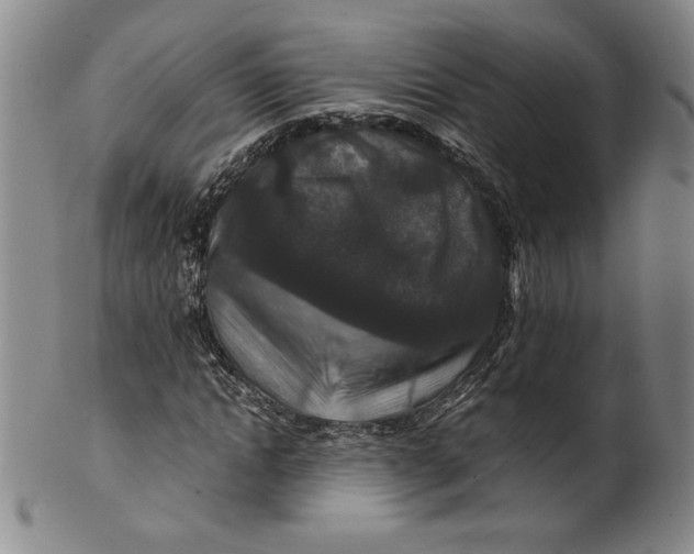 X0000100380822200806271332