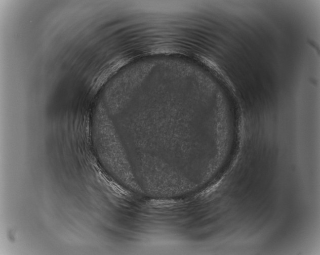 X0000100380825200806271332