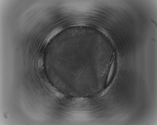 X0000100380826200806271332