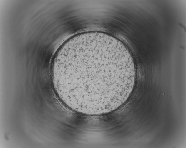 X0000100380828200806271332